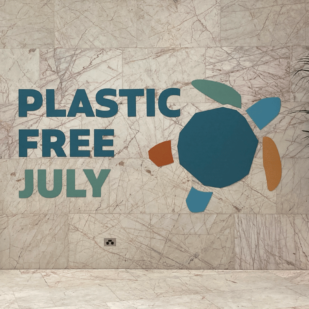 PLJuly Fluted Cardboard